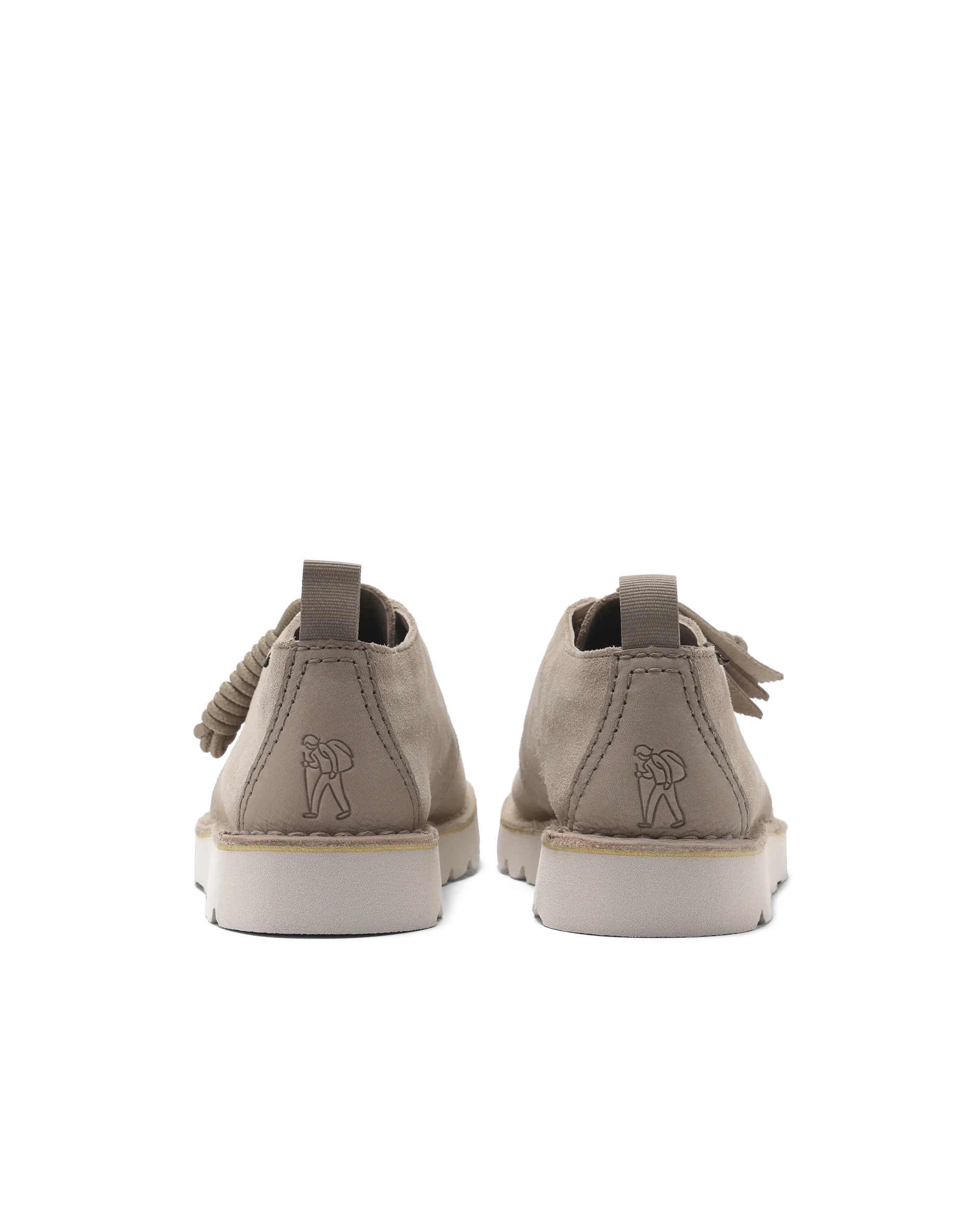Desert Trek GTX